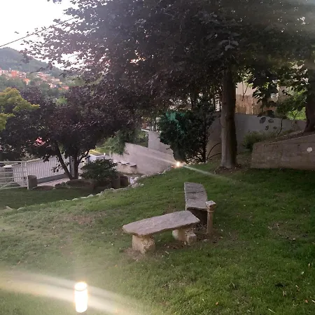 Tatil Evi Volta's Dream