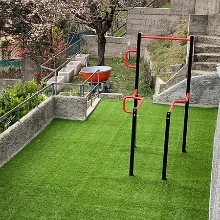 Volta's Dream Комо