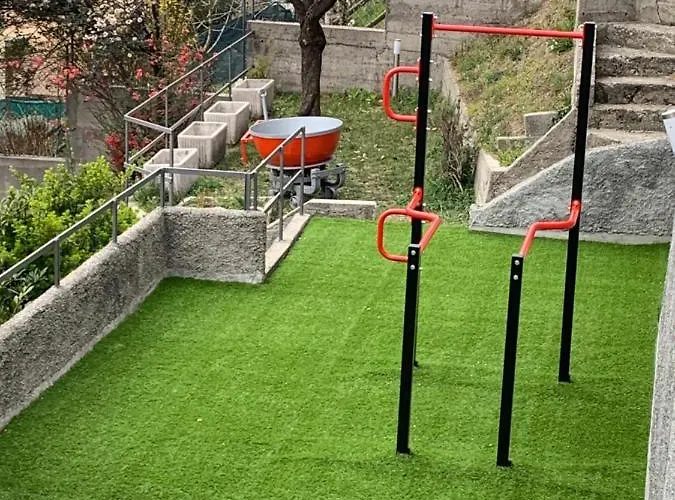 Volta's Dream 科莫